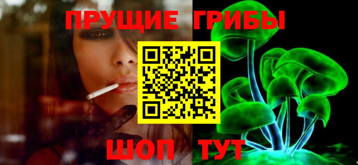 Псилоцибиновые грибы Psilocybe Кыштым